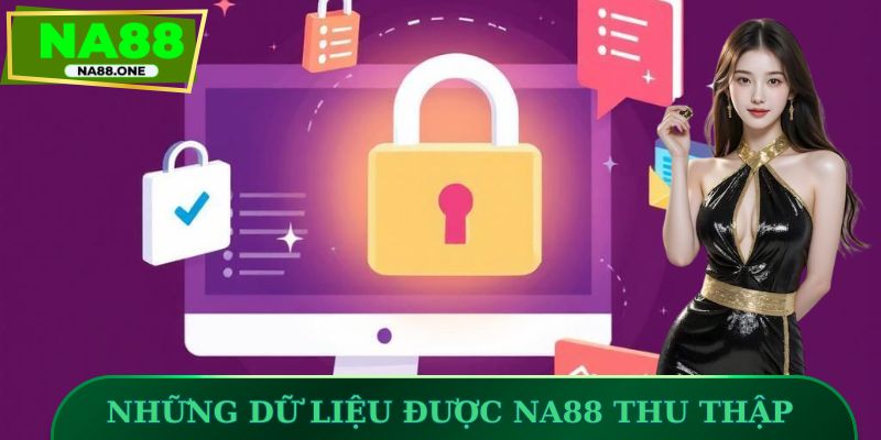 Những dữ liệu cơ bản được NA88 thu thập 