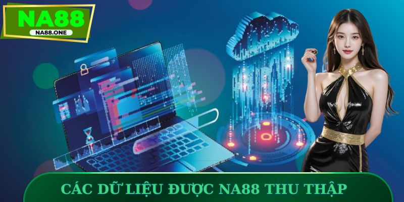 Các dữ liệu của người chơi được NA88 thu thập 