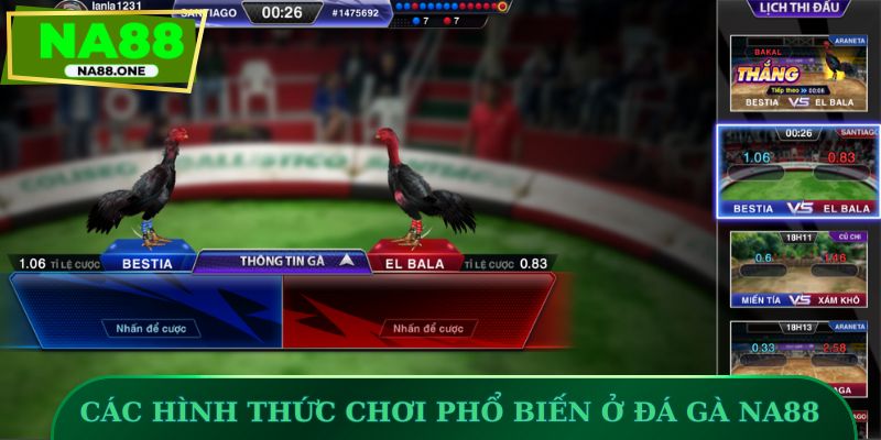 Các hình thức chơi phổ biến ở đá gà NA88