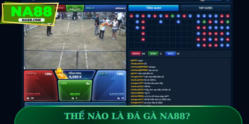 Thế nào là đá gà NA88?